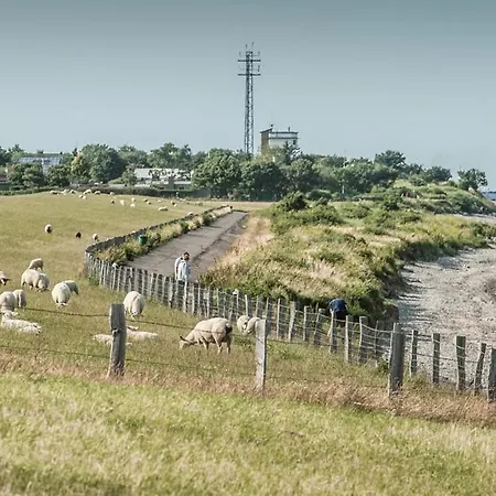 1 * Fehmarn